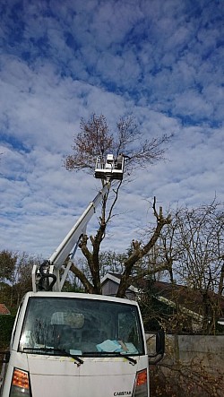 Elagage avec nacelle