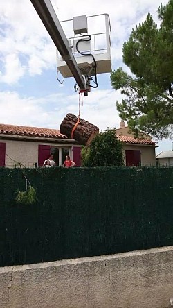 Evacuation des troncs